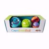 Picture of Oombee Ball