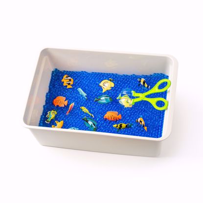Picture of Under the sea box