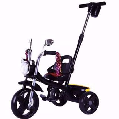Picture of Tricycle