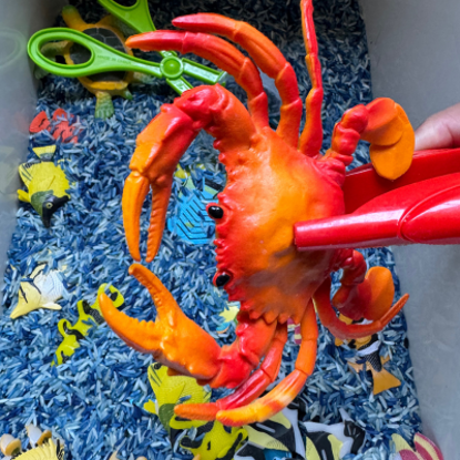 Picture of Ocean rice sensory bin