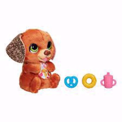 Picture of FRR NEWBORNS DOG 2